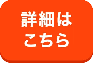 プロミスの詳細はこちら